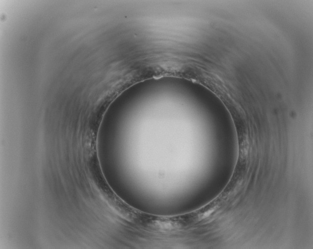 X0000088590464200706011142