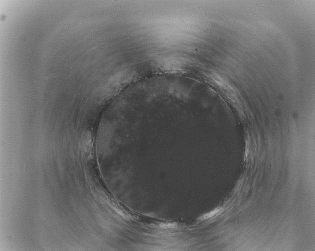 X0000088590465200706011142