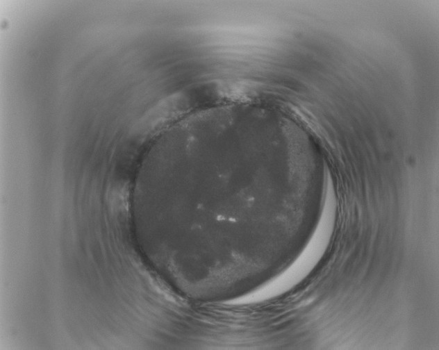 X0000088590466200706011142