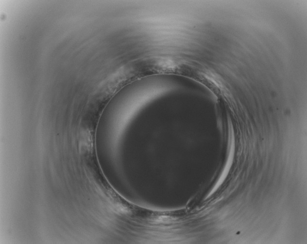 X0000088590467200706011142