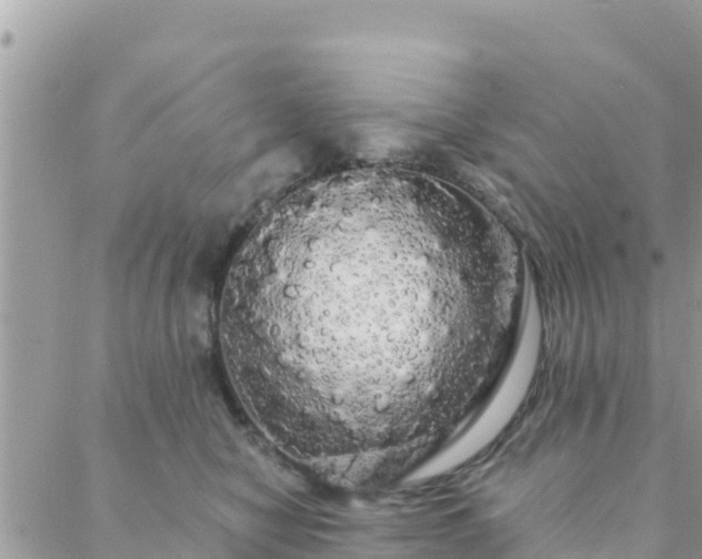 X0000088590470200706011142