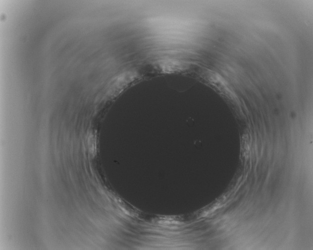 X0000088590471200706011142