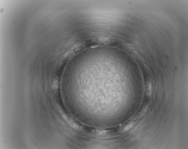 X0000088590472200706011142