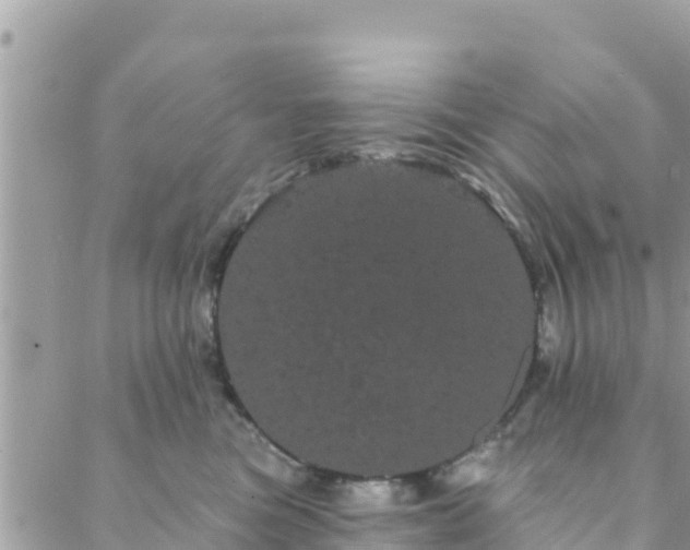 X0000088590473200706011142