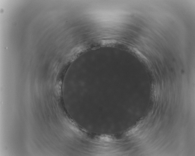 X0000088590475200706011142