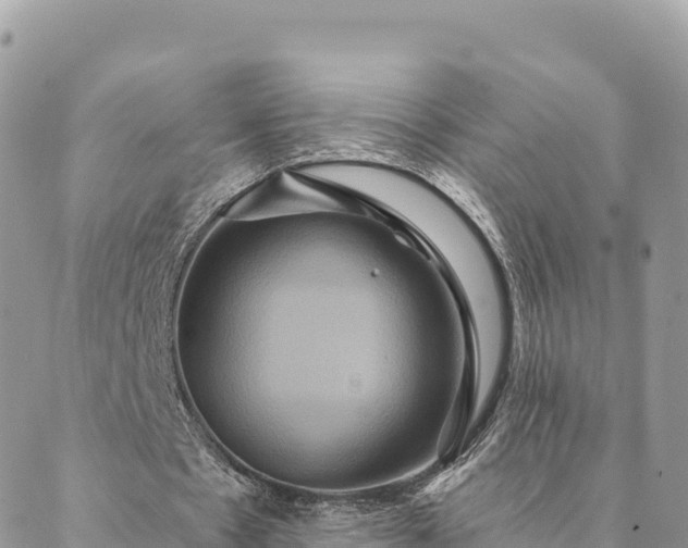 X0000088590481200706011141