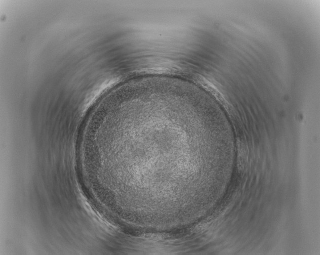 X0000088590482200706011141