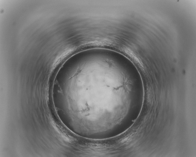 X0000088590486200706011141