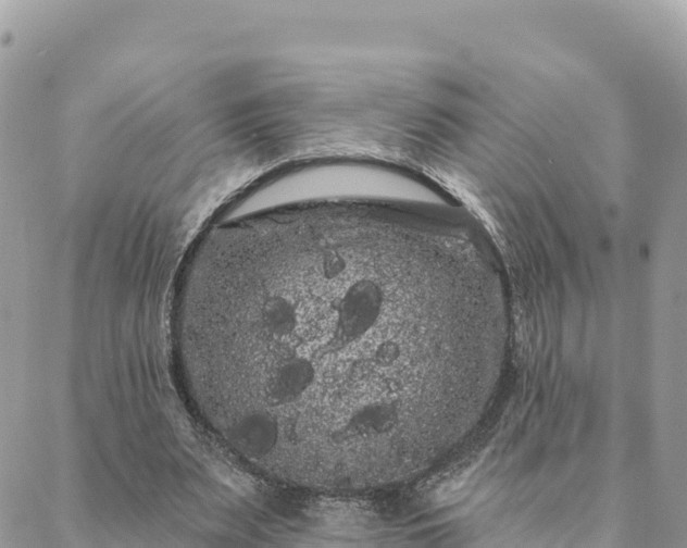 X0000088590487200706011141