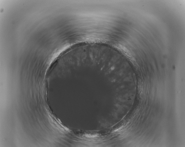 X0000088590488200706011141