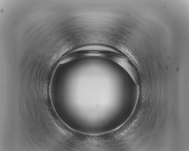 X0000088590489200706011141