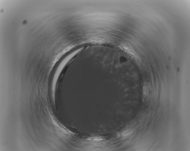 X0000088590492200706011141