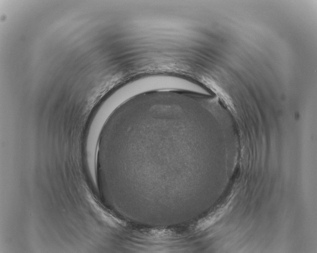 X0000088590493200706011141