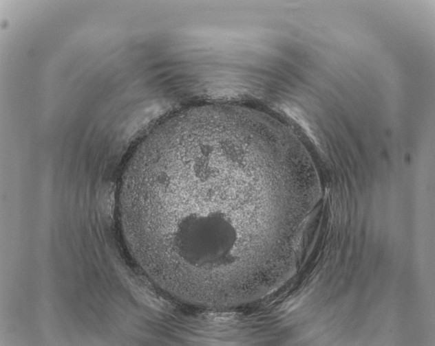 X0000088590495200706011141