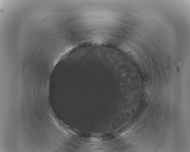 X0000088590496200706011141