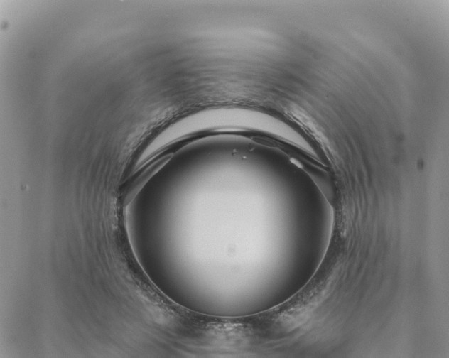 X0000088590497200706011141