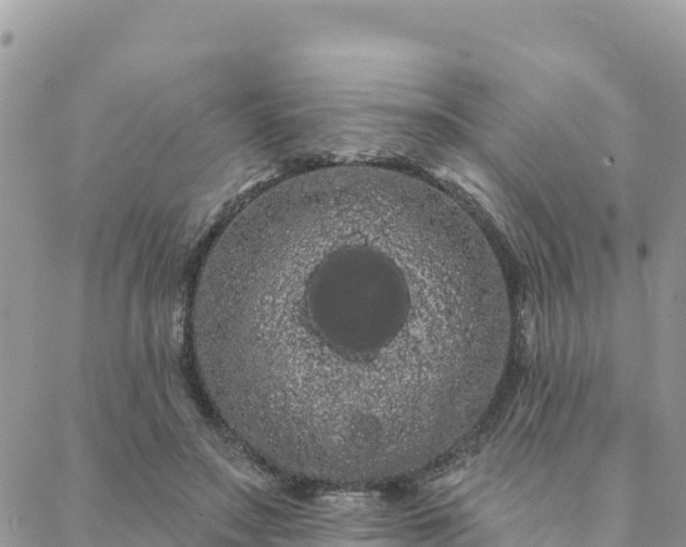 X0000088590499200706011141