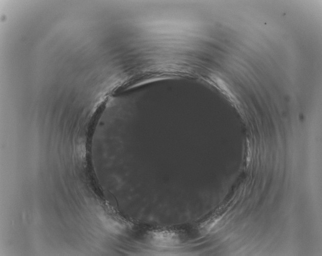 X0000088590500200706011141