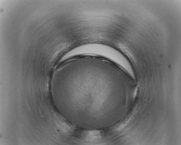 X0000088590501200706011141