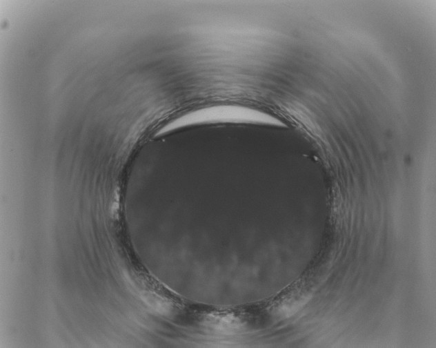 X0000088590502200706011141