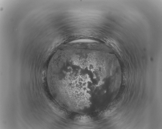 X0000088590503200706011141