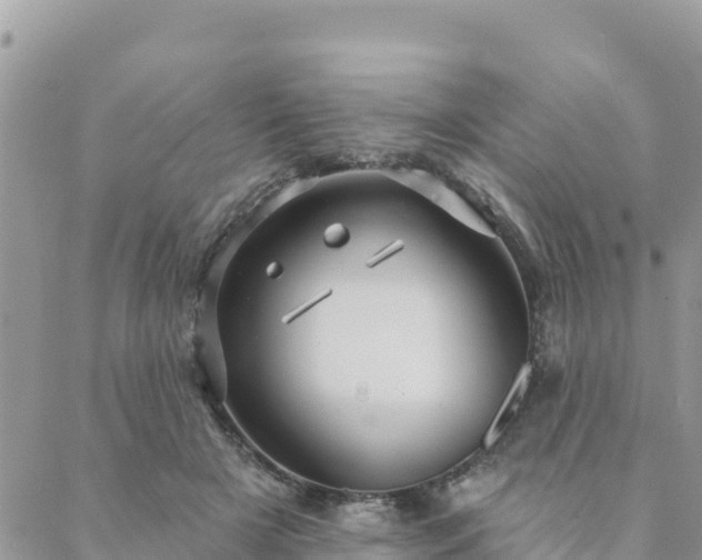 X0000088590505200706011141