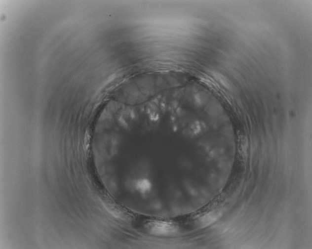 X0000088590507200706011141