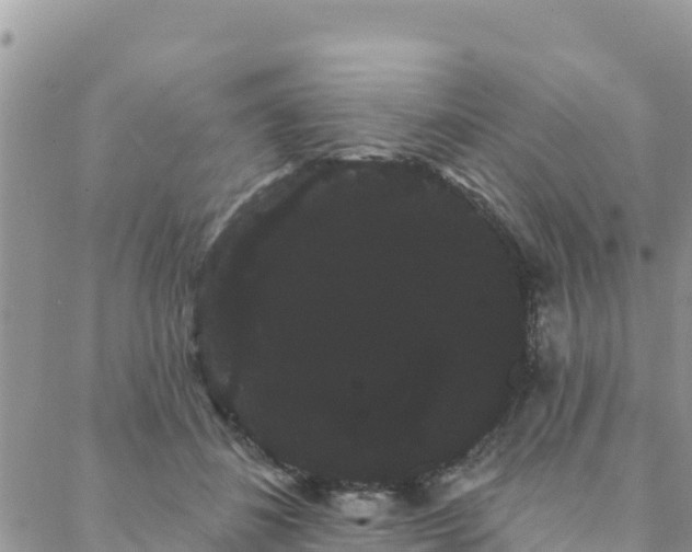 X0000088590508200706011141