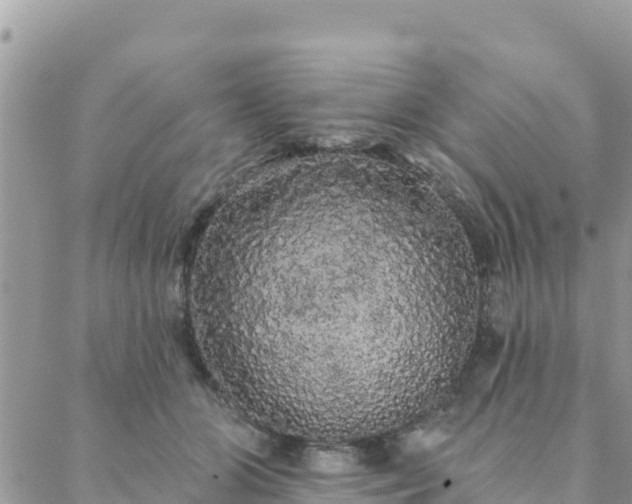 X0000088590510200706011141