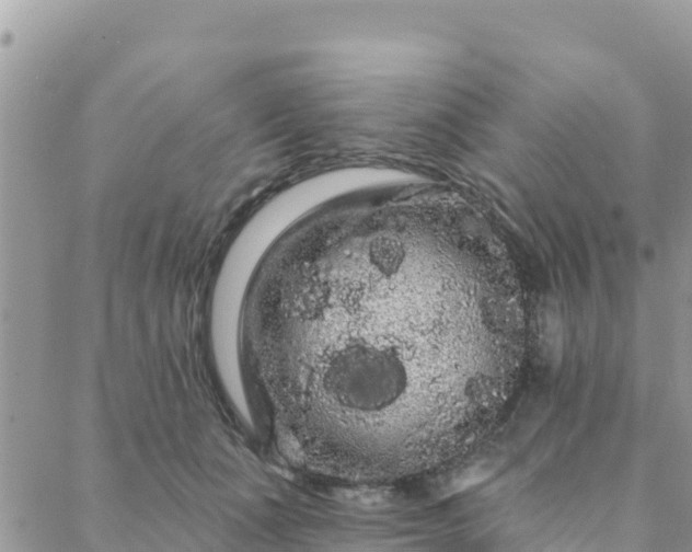 X0000088590511200706011141