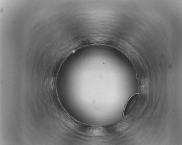 X0000088590514200706011141