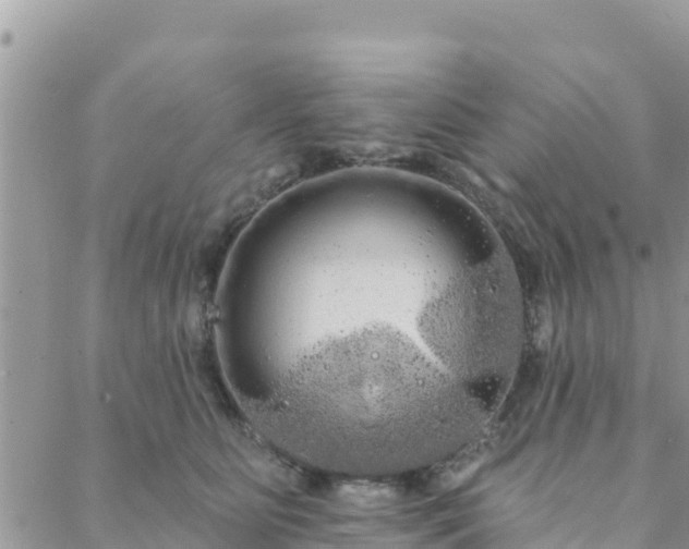 X0000088590515200706011141