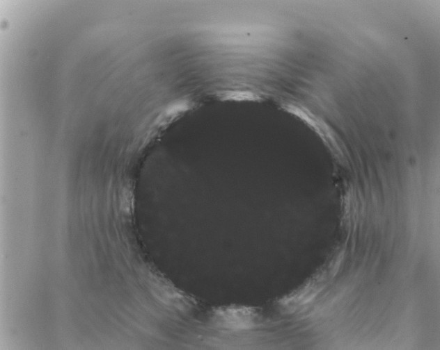 X0000088590517200706011141