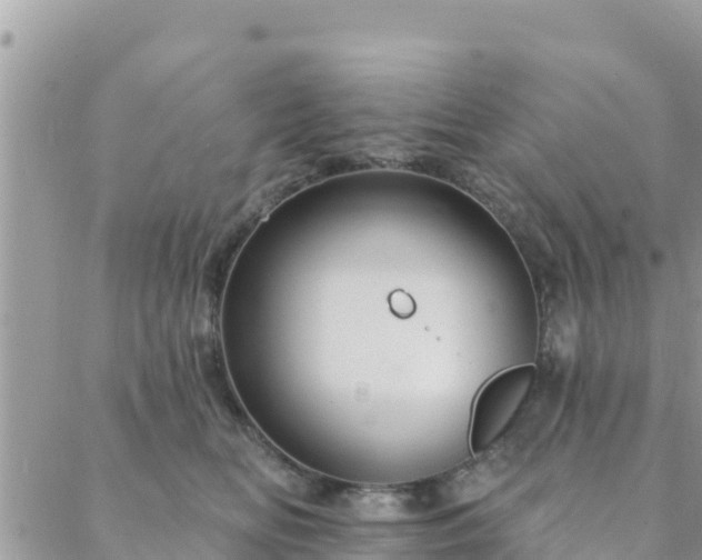 X0000088590518200706011141