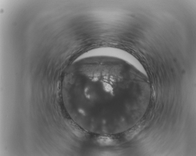 X0000088590519200706011141