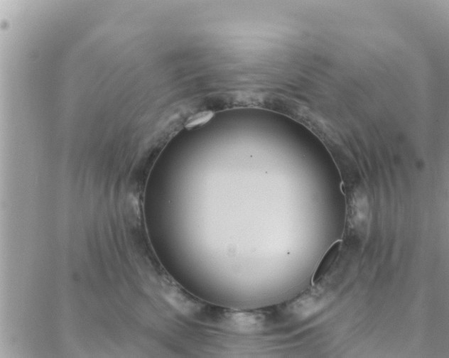 X0000088590522200706011141