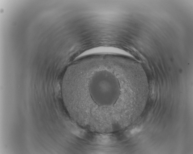 X0000088590523200706011141