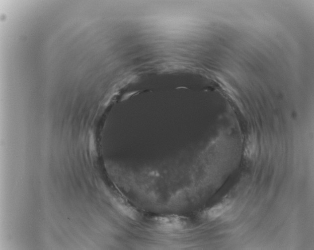 X0000088590524200706011141