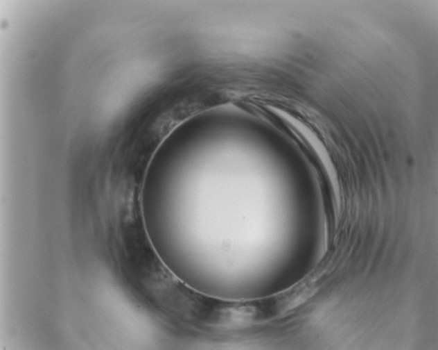 X0000088590525200706011141