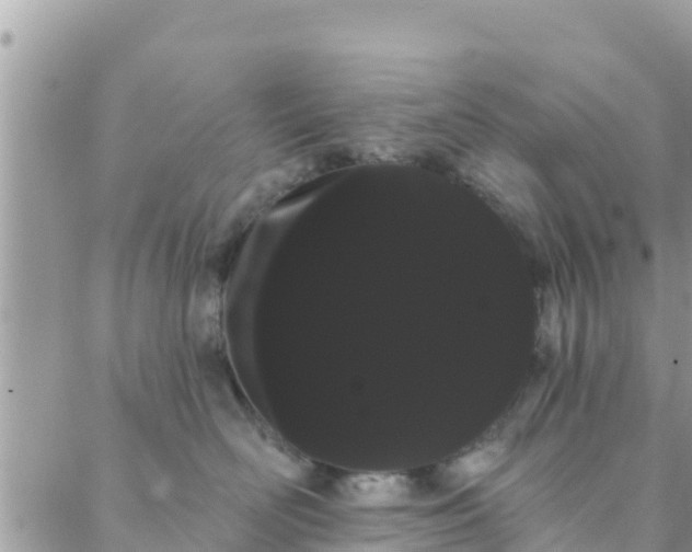 X0000088590526200706011141