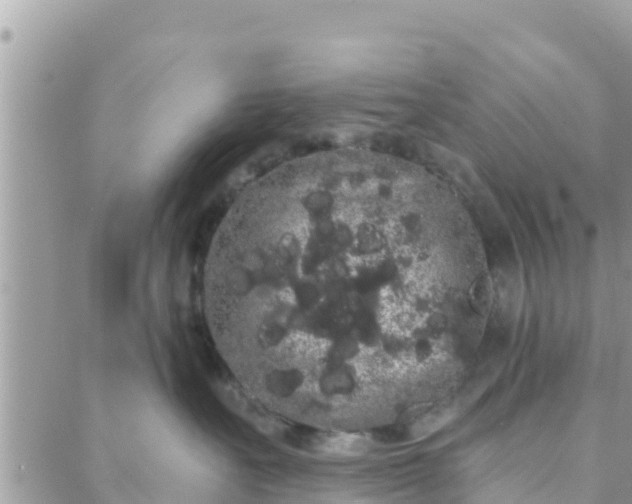 X0000088590527200706011141