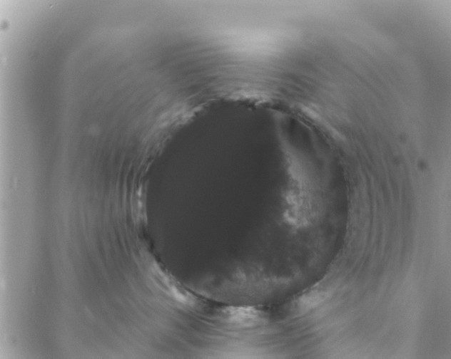 X0000088590528200706011141