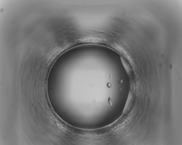 X0000088590529200706011140