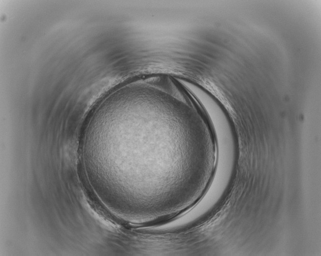 X0000088590530200706011140