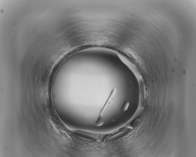 X0000088590532200706011140