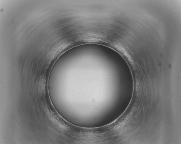 X0000088590533200706011140