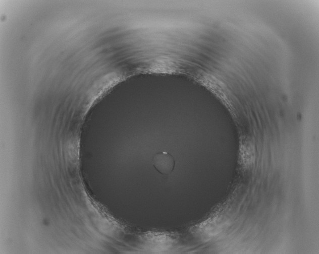 X0000088590534200706011140