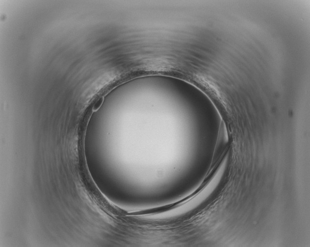 X0000088590535200706011140