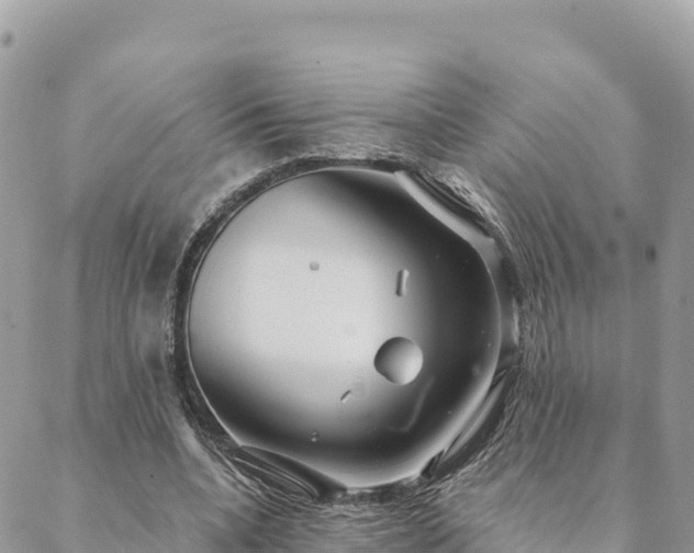 X0000088590536200706011140