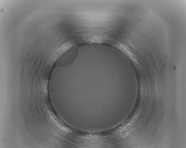 X0000088590537200706011140